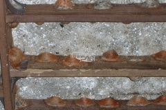 CIMG1636