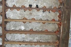 CIMG1637