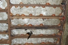 CIMG1640
