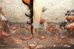 CIMG1646