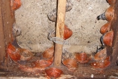 CIMG1647