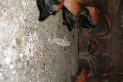 CIMG1648