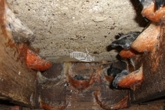 CIMG1649