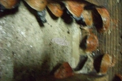 CIMG1654