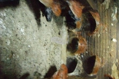CIMG1662