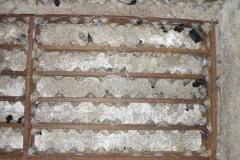 CIMG1670