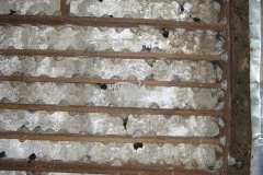 CIMG1674