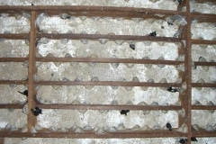 CIMG1679