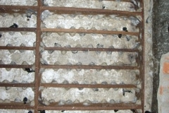 CIMG1680