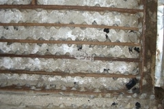 CIMG1685