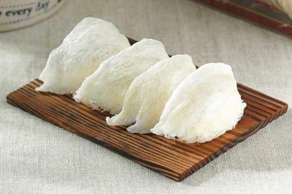 Dried White Bird Nest