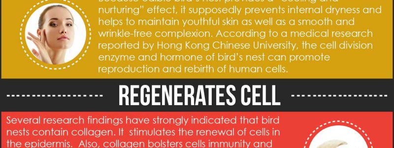 7 Benefits Of Eating Edible Bird’s Nest (Infographic)